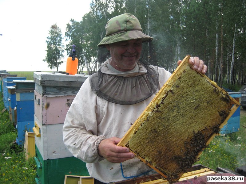 зрелый мёд в Иркутске