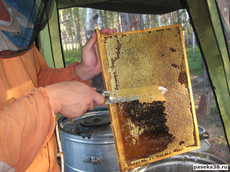 качественный мёд в Иркутске