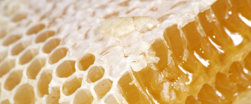 Мёд и продукты пчеловодства в Иркутске